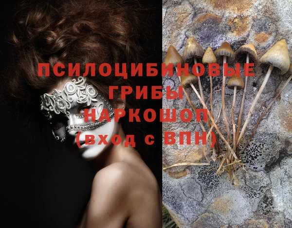дурь Зерноград