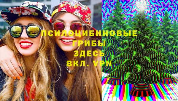 гидропоника Ессентукская