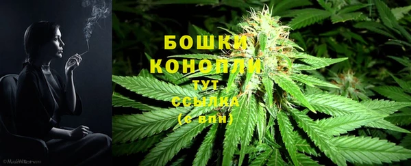 2c-b Иннополис